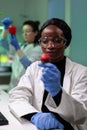 African american scientist holding organic strawberry examining modified genetically fruits