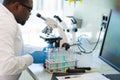 African-american scientist working in lab. Doctor making microbiology research. Laboratory tools: microscope, test tubes Royalty Free Stock Photo