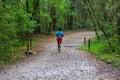 An African American teenager in a blue shirt and red shorts running down a hiking trail covered with fallen autumn leaves Royalty Free Stock Photo