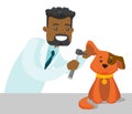 African-american veterinarian examining dog.