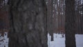 African american woman dressed warm wearing a red hat, scarf and white jacket running through the snowy forest. The girl