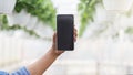 African american woman hand holding smartphone with blank screen in greenhouse with plants in pots