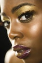 African American Woman With Highfashion Makeup Royalty Free Stock Photo