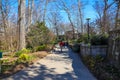 An African American woman with a red shirt walking along a footpath in the garden with two other women on the path