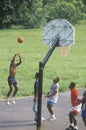 African-American youths playing street basketball,