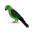 African animal, colorful green parrot lovebird icon isolated on white background, vector illustration in flat style.