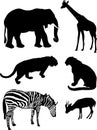 African animal silhouettes Royalty Free Stock Photo