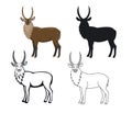 African animal waterbuck in color, silhouette, contour and stroke