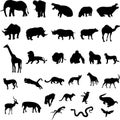 African animals