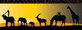 African animals led by a man