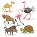 African animals cartoon set. Camel, big african turtle, flamingo, hyena, warthog and ostrich. Zoo wildlife collection. Vector illu Royalty Free Stock Photo