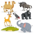 African animals cartoon set. Gorilla monkey, gray parrot, elephant, gazelle antelope, crocodile, bactrian camel and wildebeest. Zo