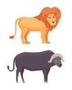 African animals cartoon vector set. lion and buffalo safari isolated illustration. Royalty Free Stock Photo