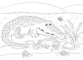 African animals. Cute crocodiles. Illustration for children.