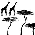 African animals, giraffe, vector silhouettes Royalty Free Stock Photo