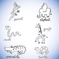African animals hand drawn vector illustrations set