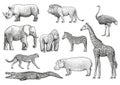 African animals illustration, drawing, engraving, ink, line art, vector Royalty Free Stock Photo