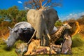 African animals nature background Royalty Free Stock Photo