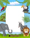 African Animals Photo Frame [4] Royalty Free Stock Photo