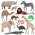 African animals set. Elephant, giraffe, buffalo, hippo, rhino, lion, cheetah, antelope, ostrich, hyena, lemur, gorilla Royalty Free Stock Photo