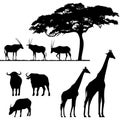 African animals, silhouettes Royalty Free Stock Photo