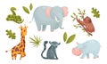 African Animals with Spotted Giraffe and Sloth Sitting on Tree Branch Vector Set