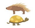 African animals .Turtle Cartoon Vector Illustration isolated