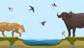 African animals at water place at savanna landscape vector illustration. Leopard or panthera and bull and flock of birds Royalty Free Stock Photo