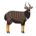 African Antelope cartoon icon