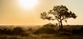 African background Royalty Free Stock Photo