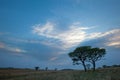 African big sky at Ezemvelo Royalty Free Stock Photo
