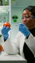 African biochemist with medical gloves injecting organic tomato with pesticides