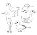 African Bird Coloring Book Moorhen Egret Duck Goose Kingfisher Cartoon Vector Set