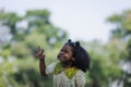 African black child with curly hair is jumping happily in the water spray at outdoor