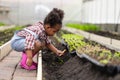 African black child playing planting the green tree gardening in agriculture farm. Children love nature concept