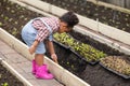 African black child playing planting the green tree gardening in agriculture farm. Children love nature concept