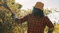 African black man farmer pulling beetroot out of soil. Autumn harvesting. Picking vegetables. Royalty Free Stock Photo