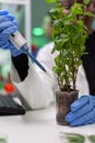 African botanist researcher putting genetic solution from test tube