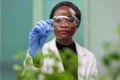 African botanist woman looking at genetic test sample for biological experiment