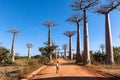 African boy on baobab alley