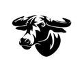 African buffalo bull black vector head