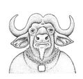 African Buffalo Engraving Illustration