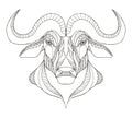 African buffalo head zentangle stylized, vector, illustration, f Royalty Free Stock Photo