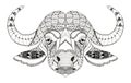 African buffalo head zentangle stylized, vector, illustration Royalty Free Stock Photo