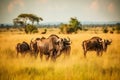 African Buffalo Herd Grazing in Savannah. AI Royalty Free Stock Photo