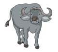 African Buffalo illustration vector. Buffalo vector stock image