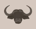 African buffalo male with round horns. Fearsome look of brown bison isolated over background. Royalty Free Stock Photo