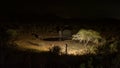 African bush elephant, Loxodonta africana, and African buffalo, Syncerus caffer. Madikwe Game Reserve, South Africa Royalty Free Stock Photo