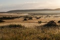 African Savanna Plains Sunrise Mist Royalty Free Stock Photo