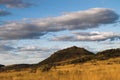 African bush under blue sky.